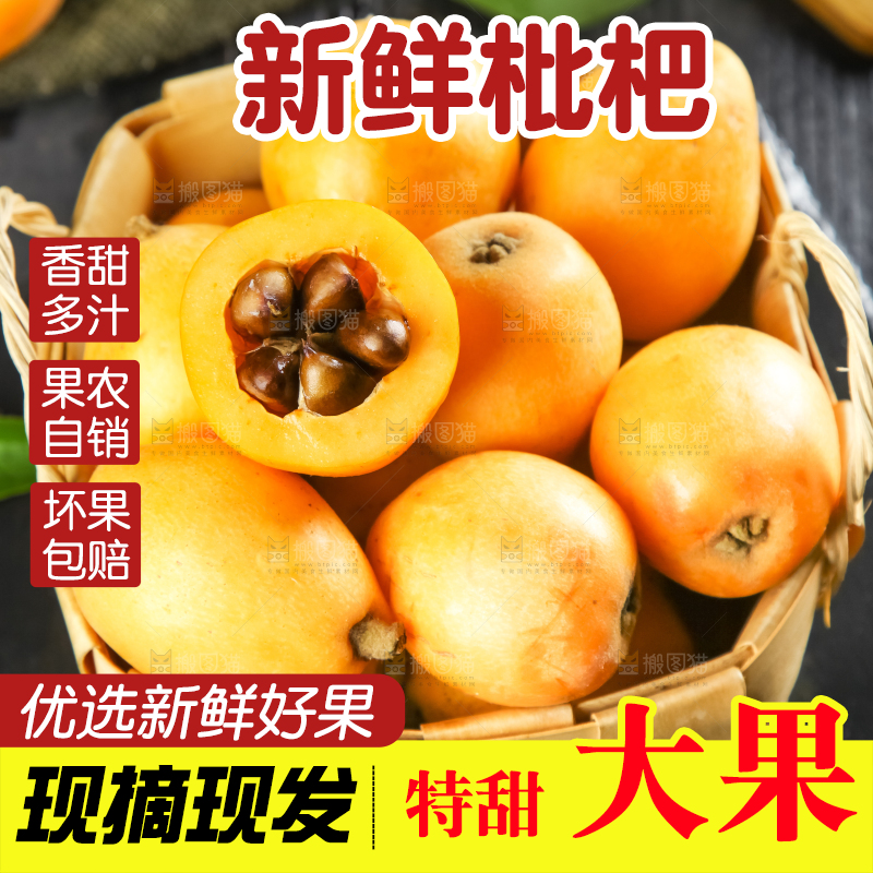 枇杷