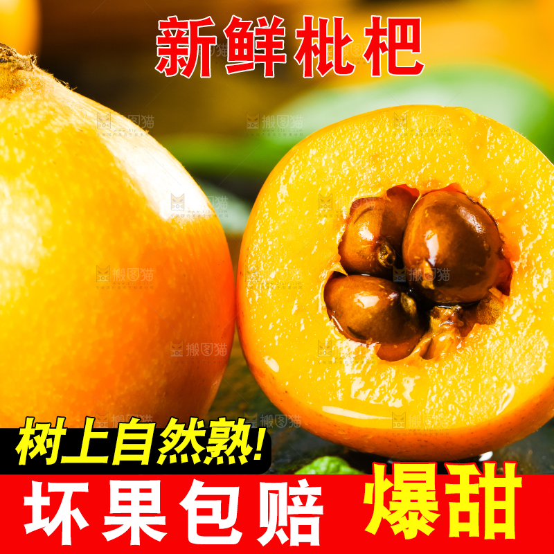 枇杷