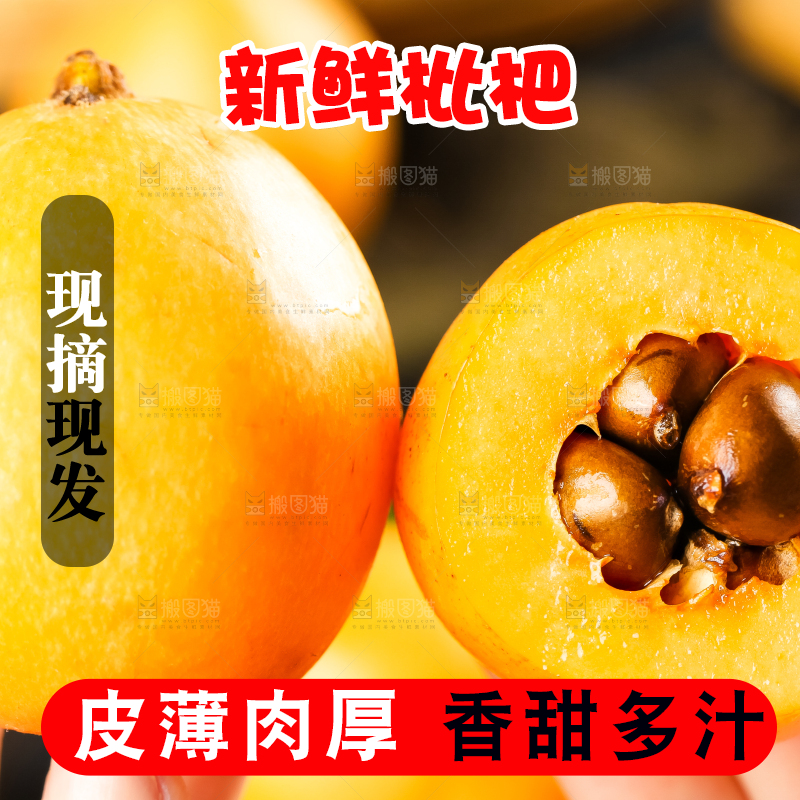枇杷