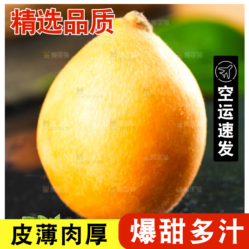 枇杷