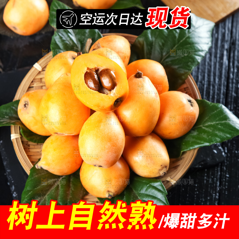 枇杷