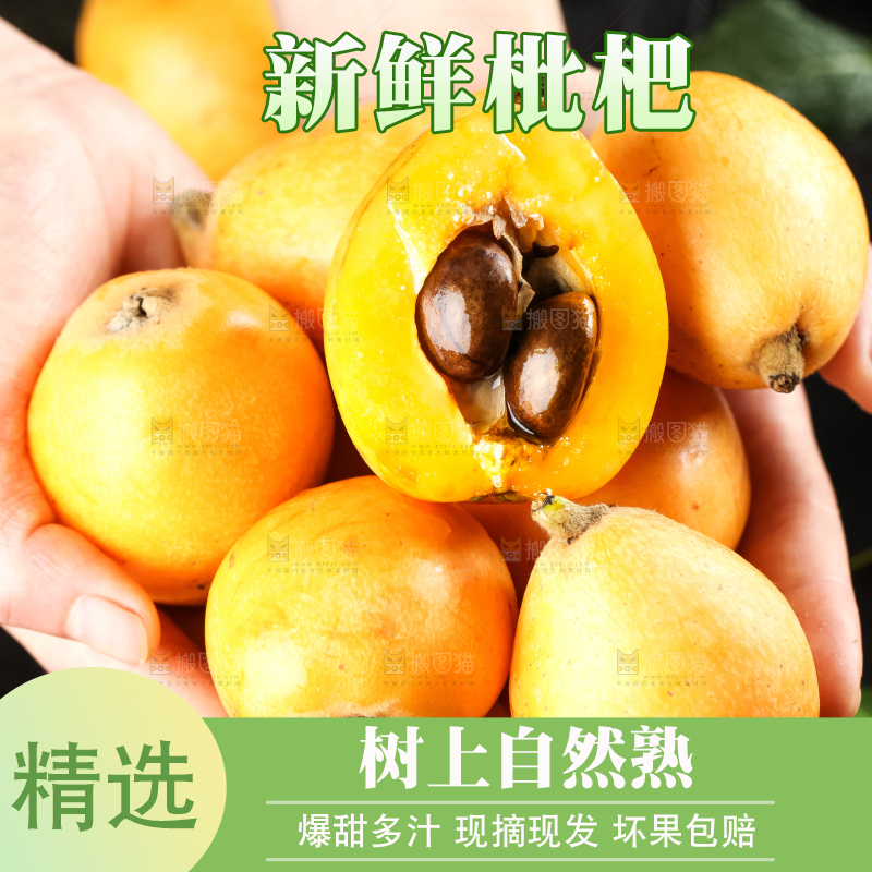 枇杷