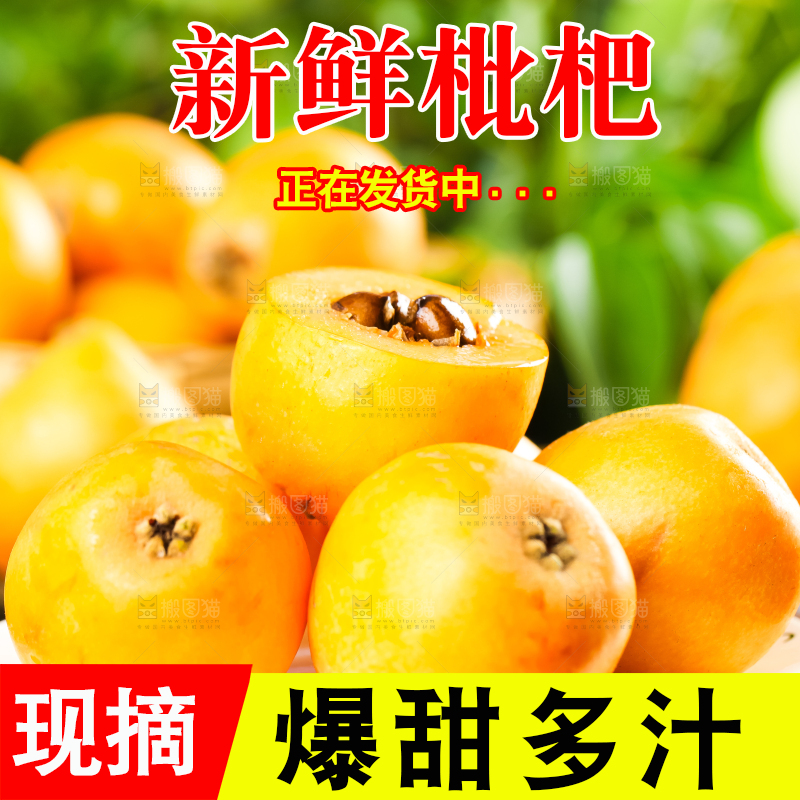 枇杷