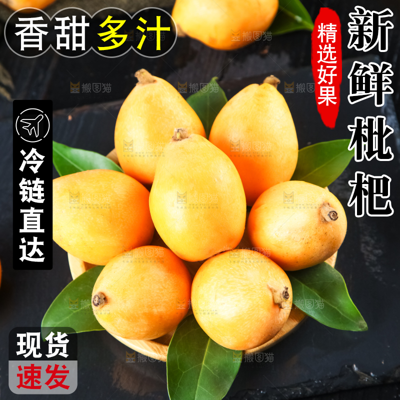 枇杷