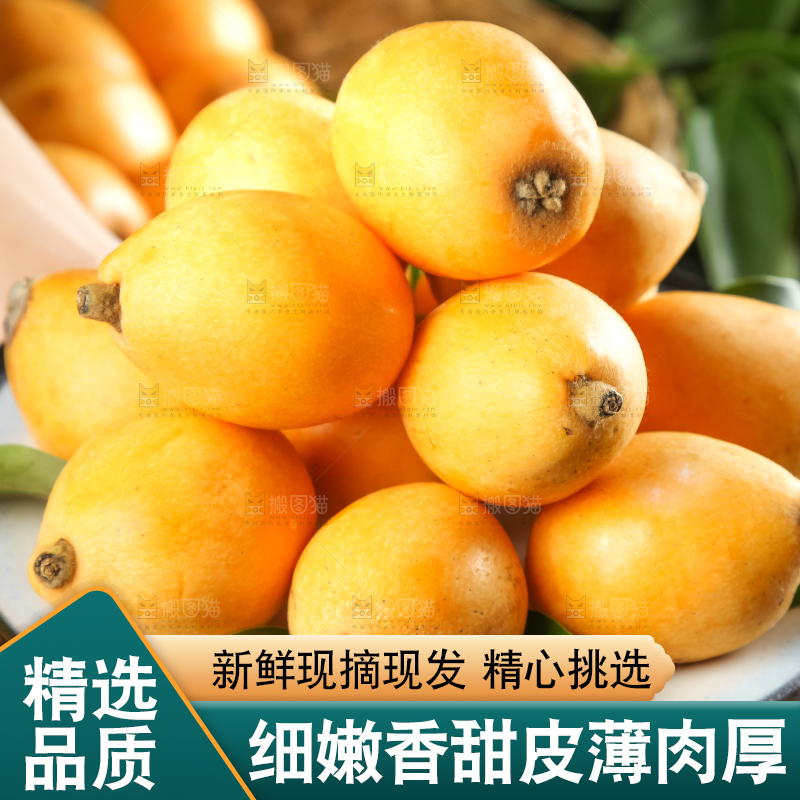 枇杷