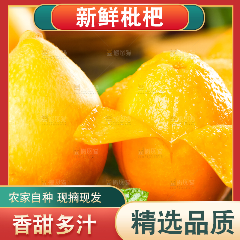 枇杷