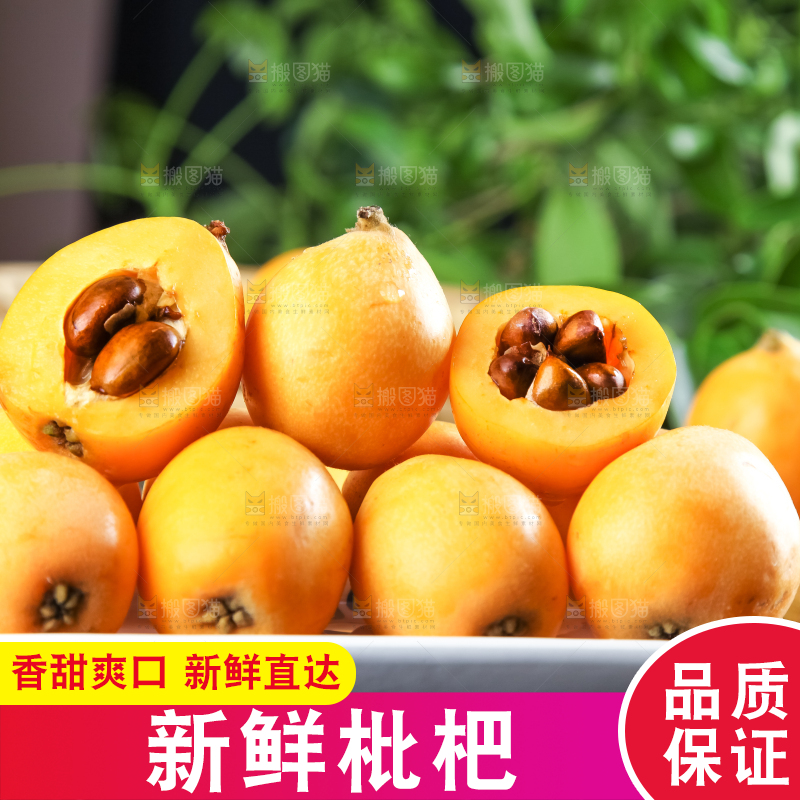 枇杷