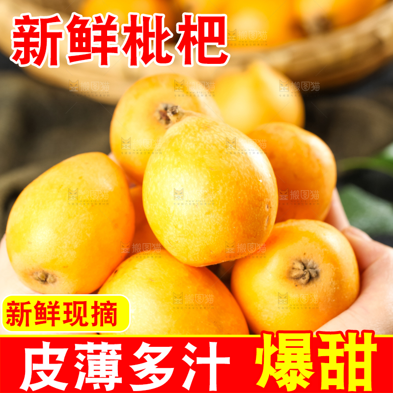 枇杷