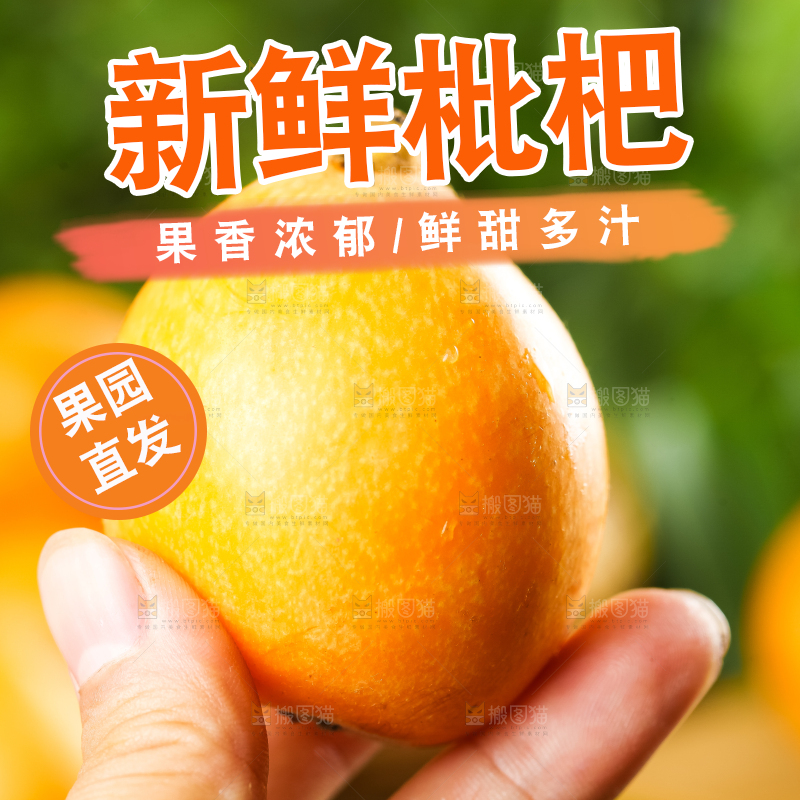 枇杷