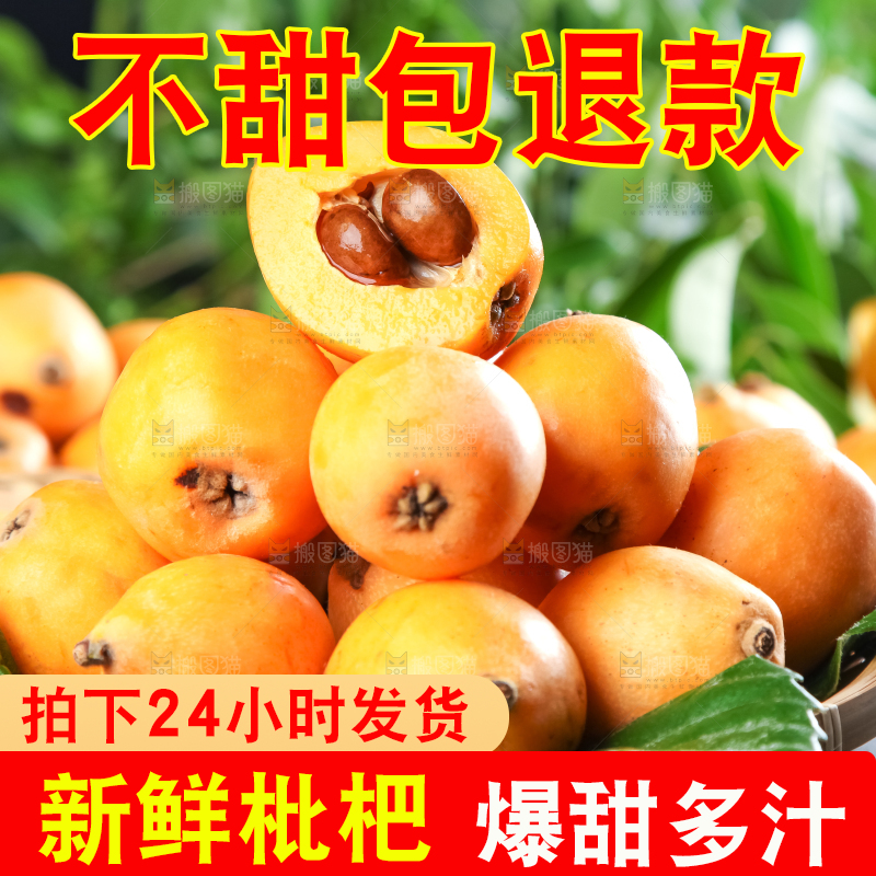 枇杷