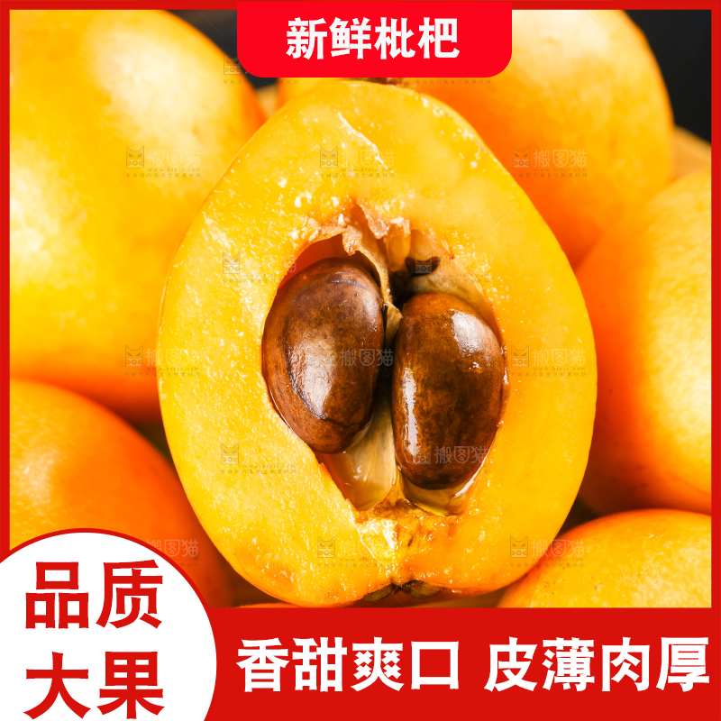 枇杷