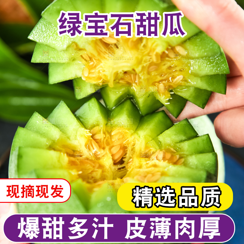 绿宝甜瓜