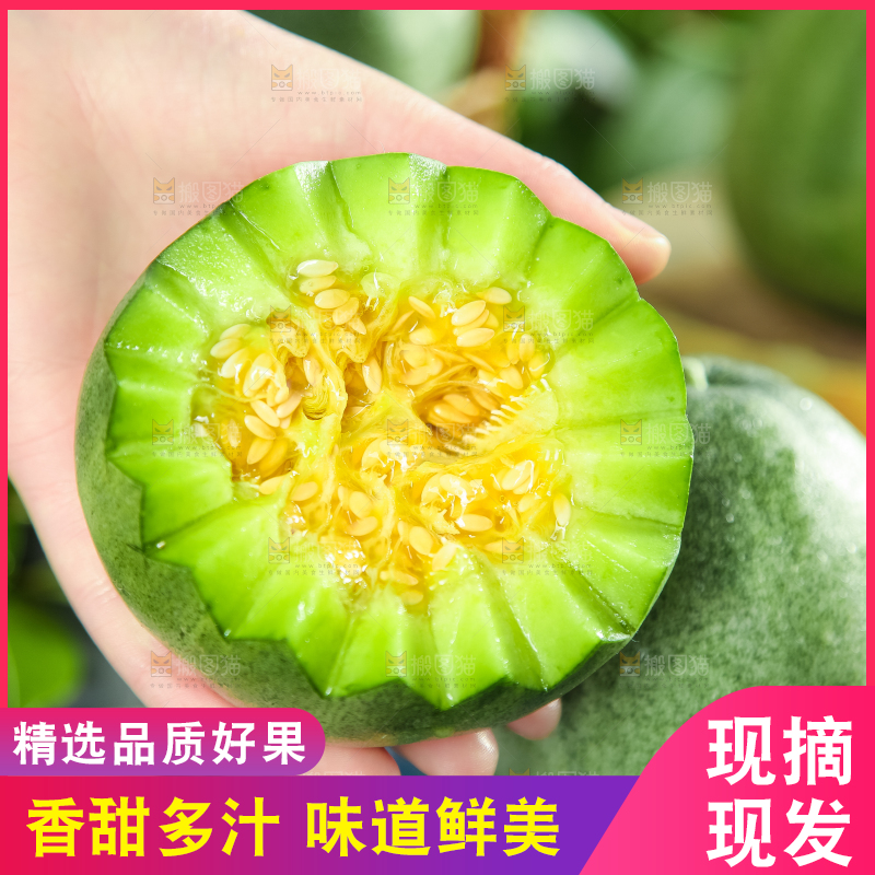 绿宝甜瓜