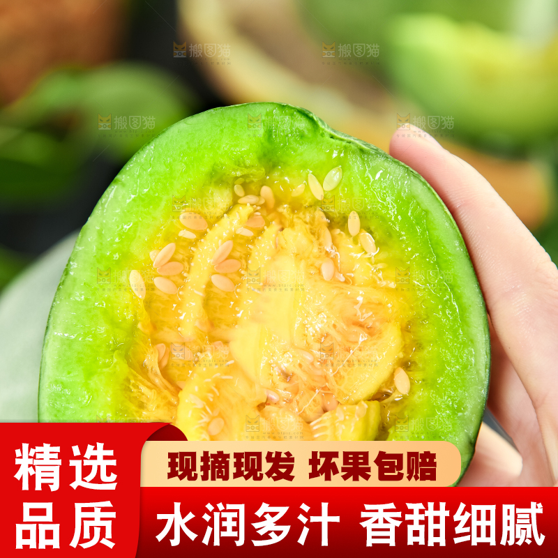 绿宝甜瓜