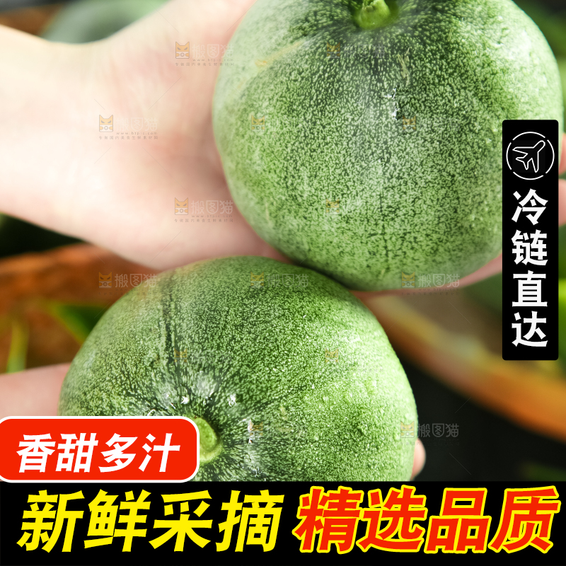 绿宝甜瓜