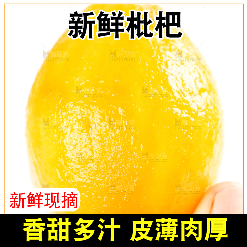 枇杷