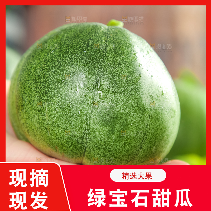 绿宝甜瓜