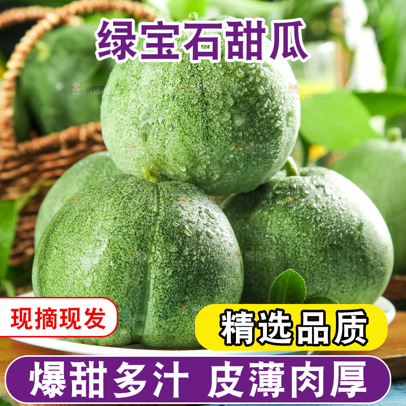 绿宝甜瓜