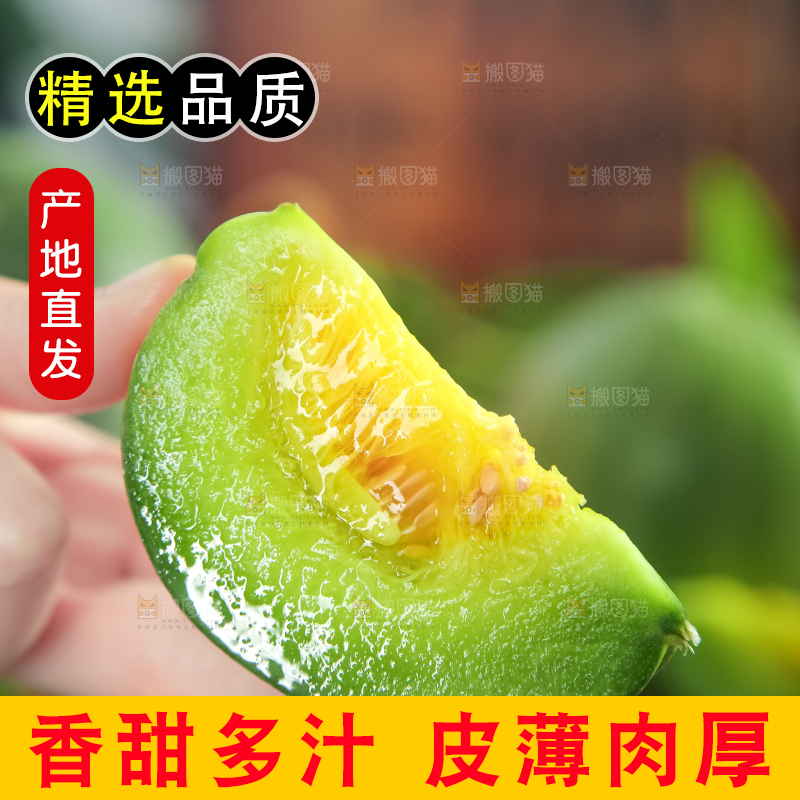 绿宝甜瓜