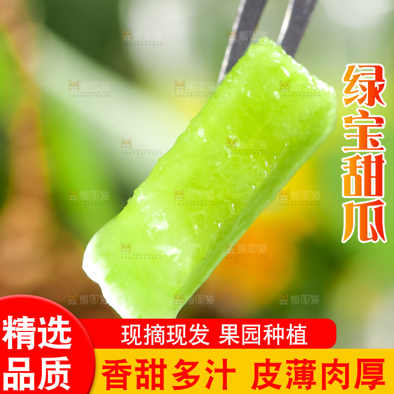 绿宝甜瓜