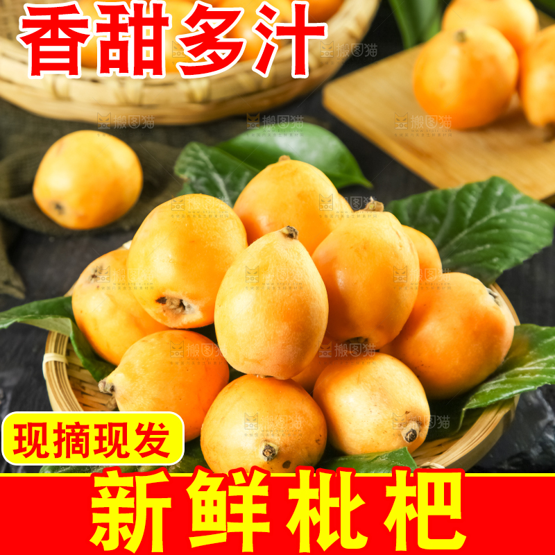 枇杷