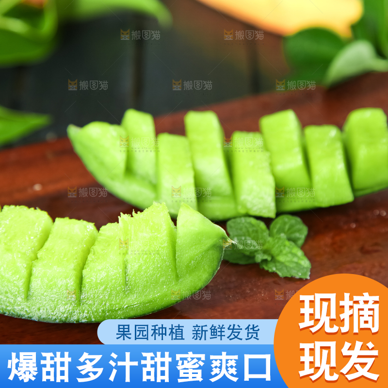 绿宝甜瓜