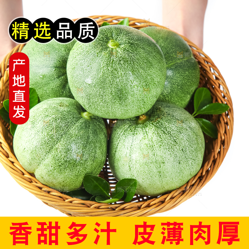 绿宝甜瓜