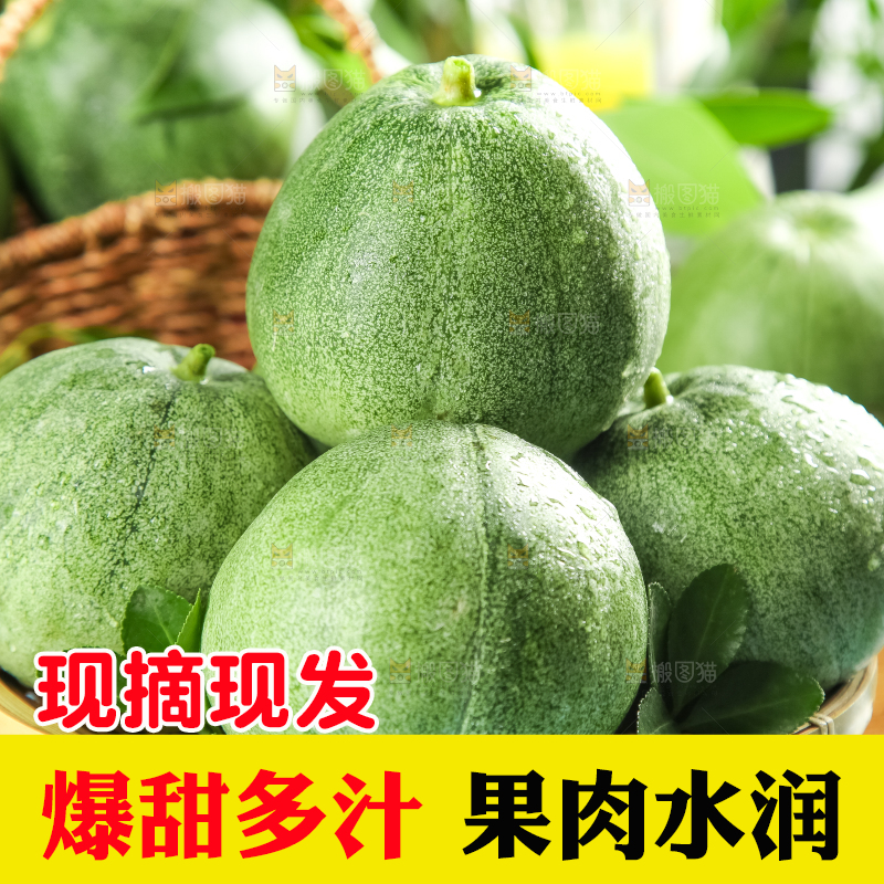 绿宝甜瓜