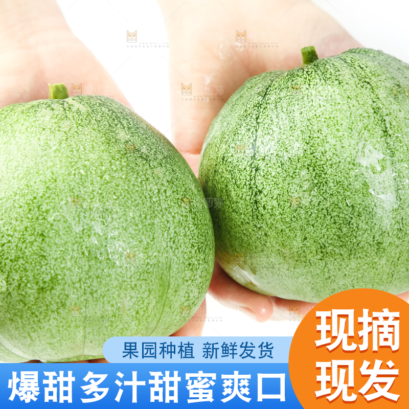 绿宝甜瓜