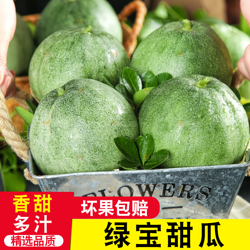 绿宝甜瓜