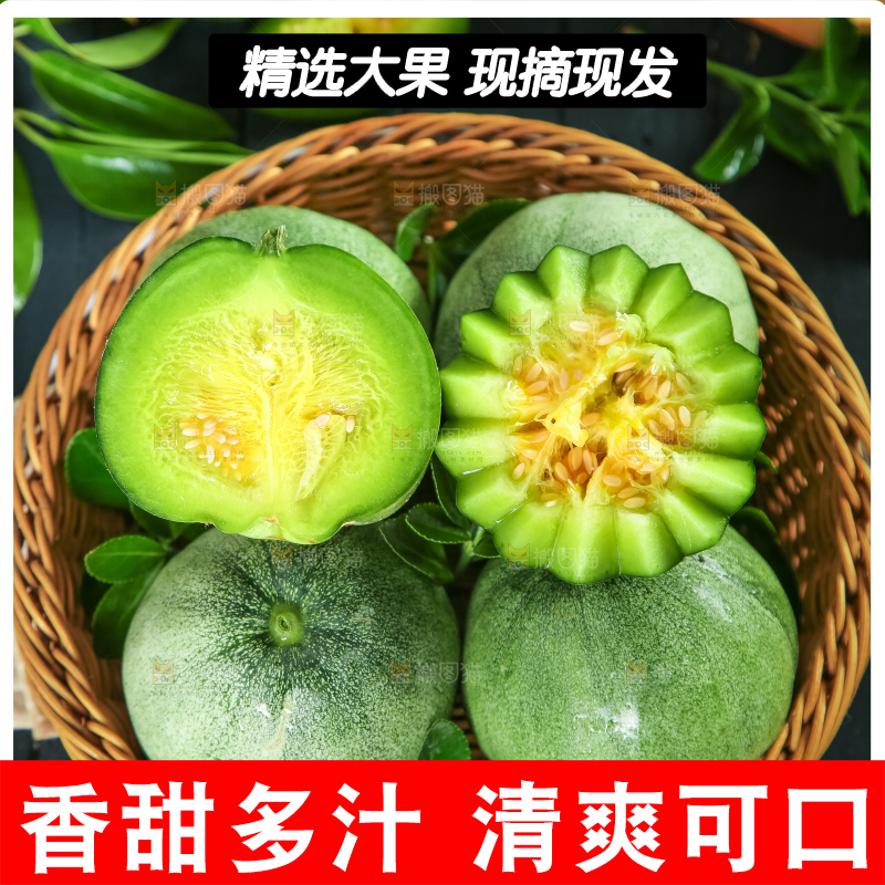 绿宝甜瓜