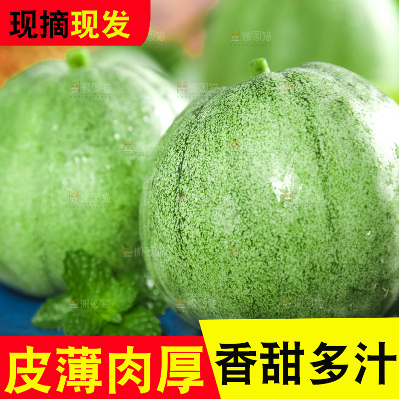 绿宝甜瓜