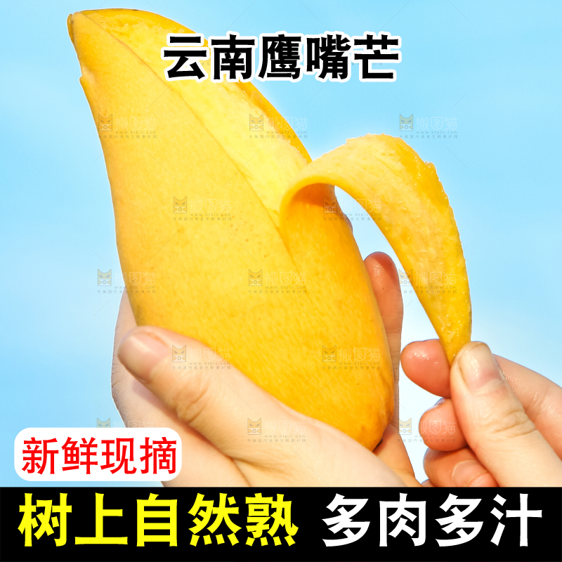 鹰嘴芒