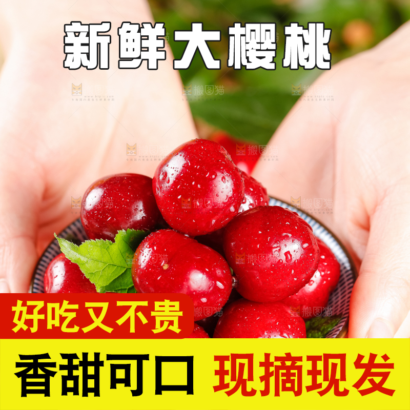 大樱桃