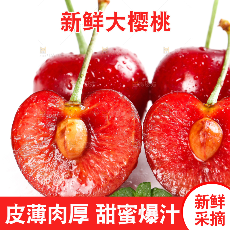 大樱桃