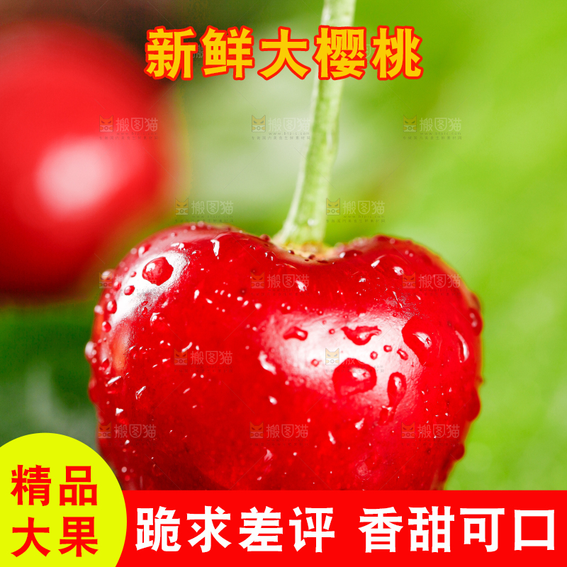 大樱桃