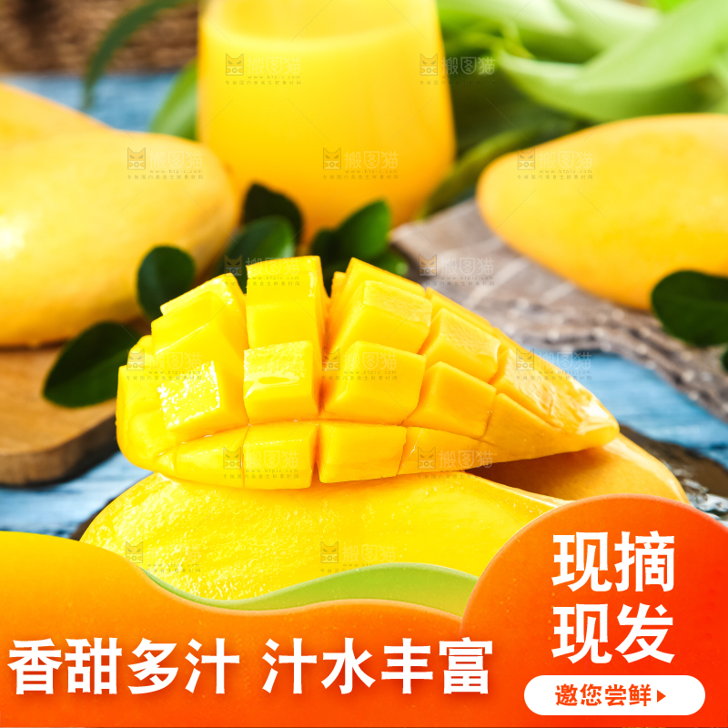 鹰嘴芒