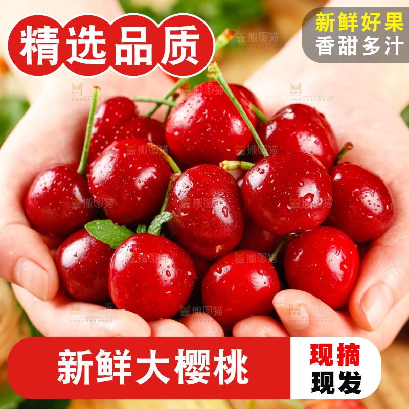 大樱桃