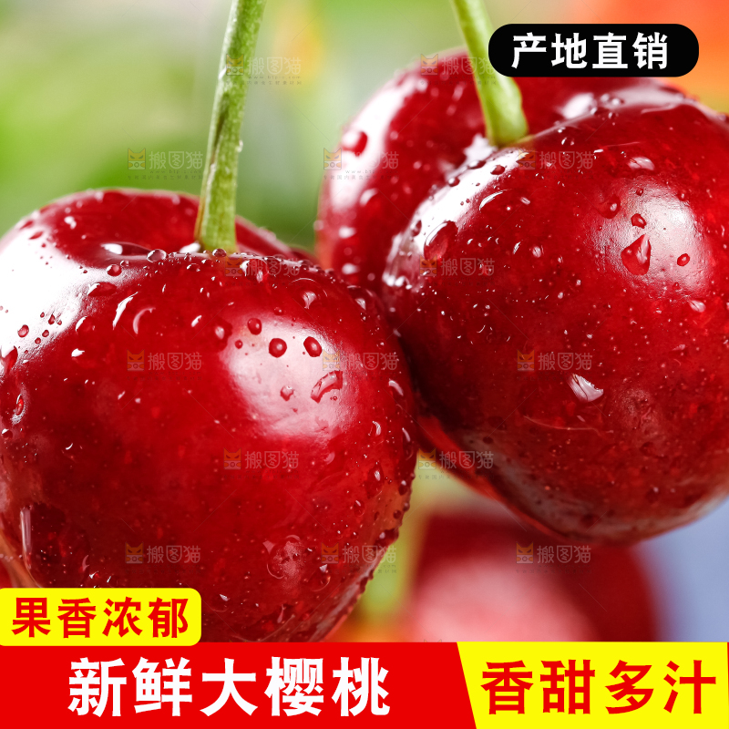 大樱桃