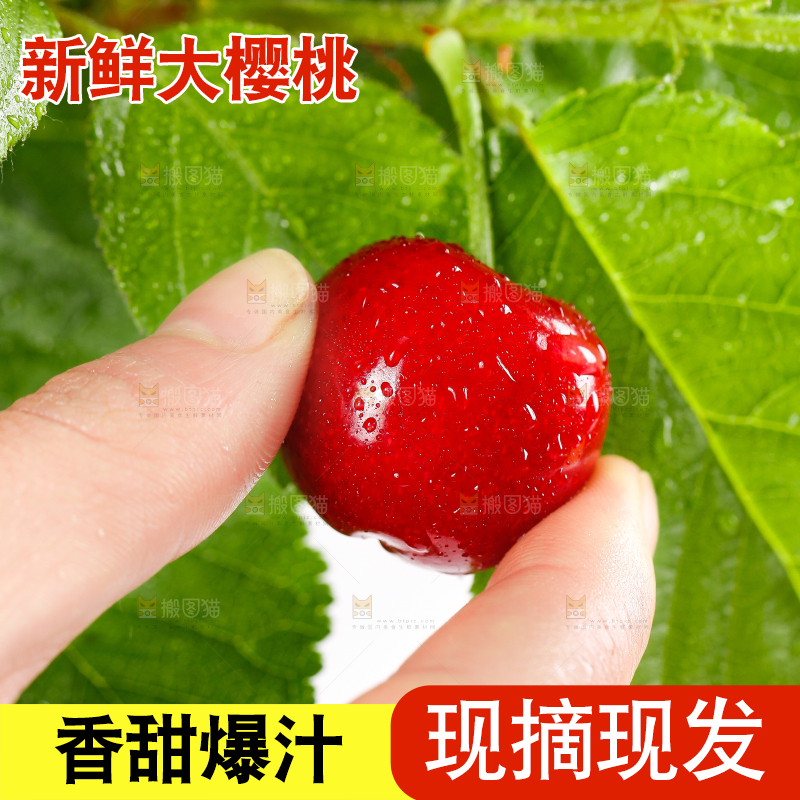 大樱桃