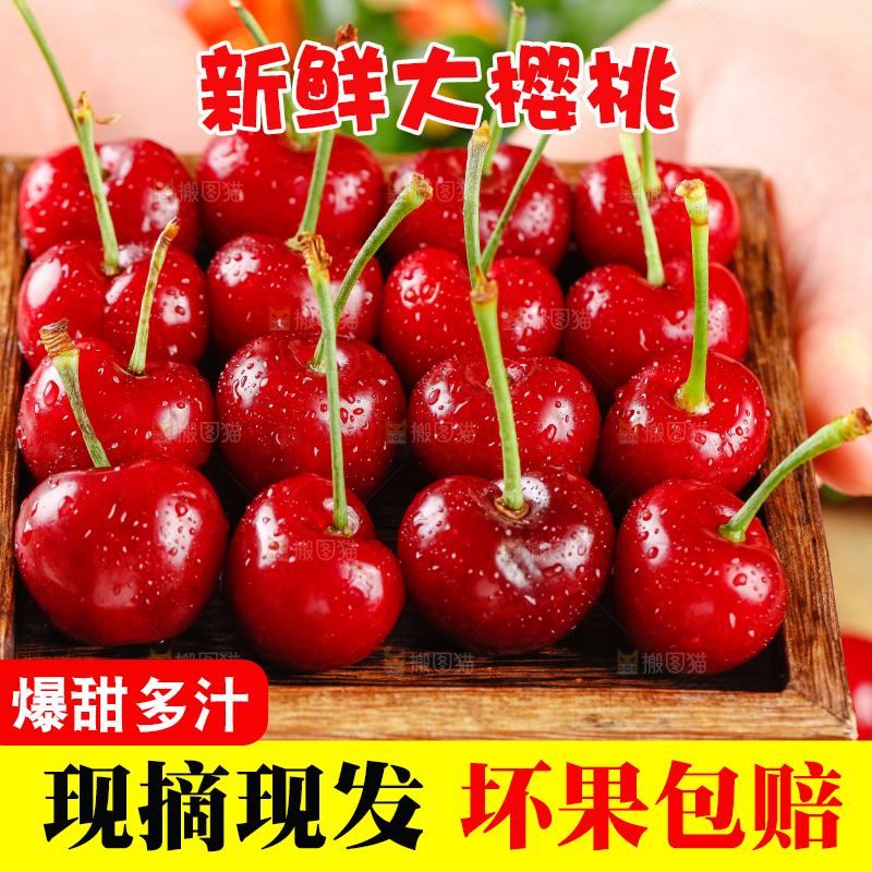 大樱桃