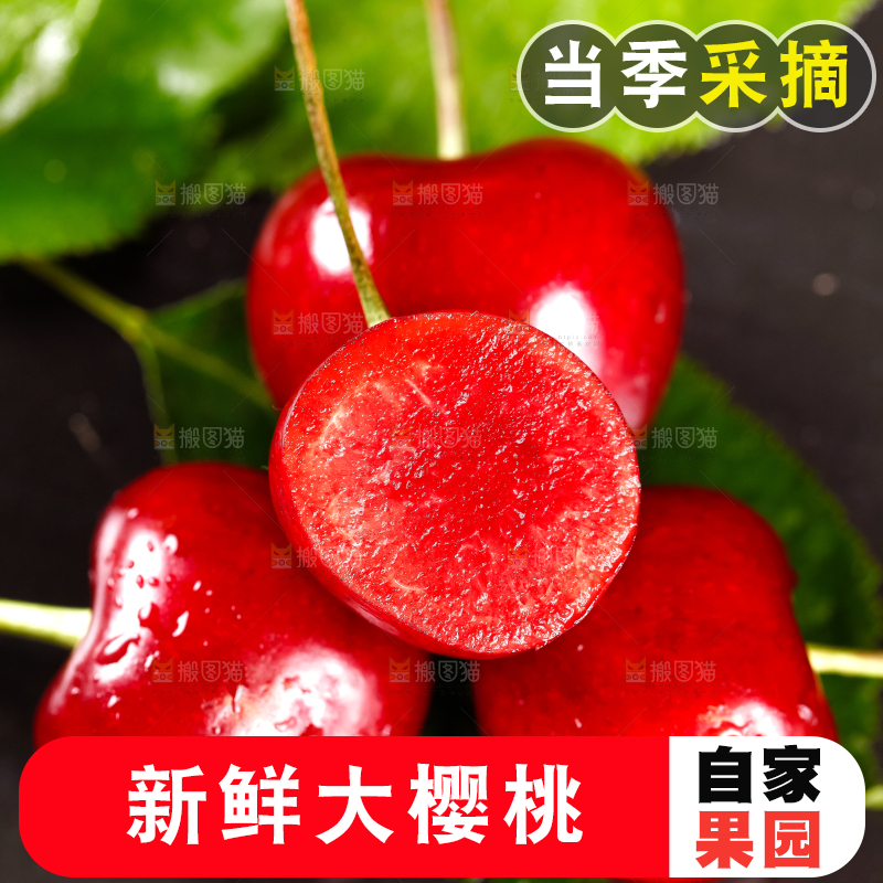 大樱桃