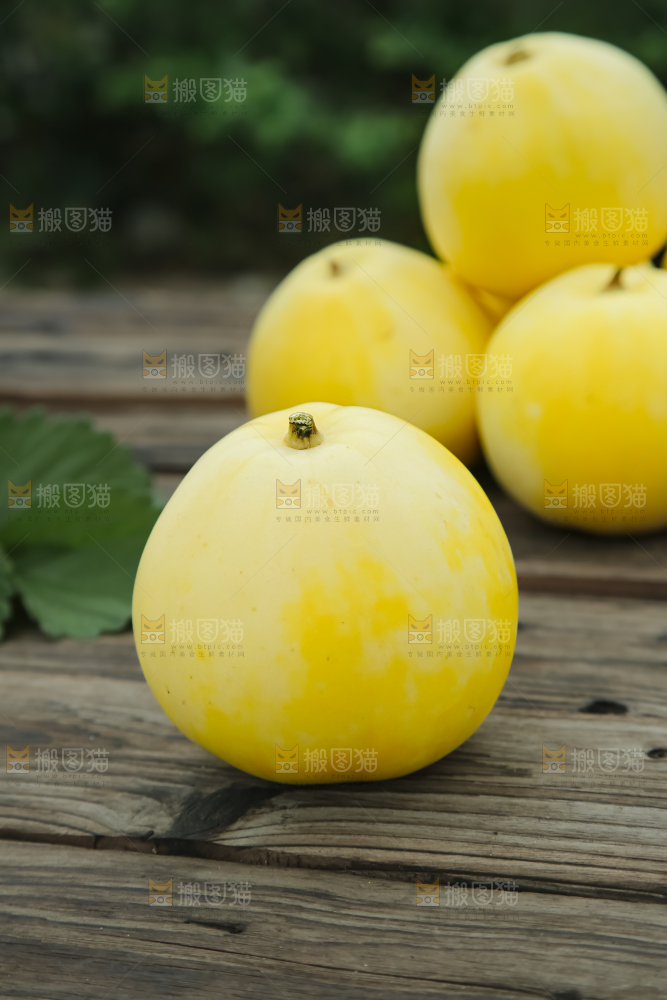 小蜜蜂甜瓜