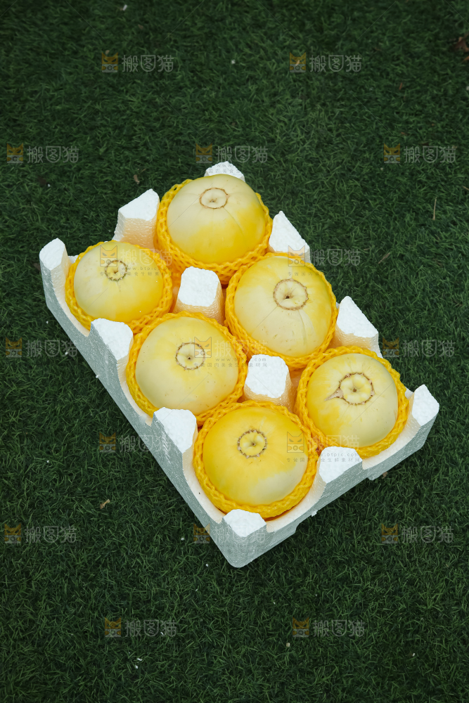 小蜜蜂甜瓜