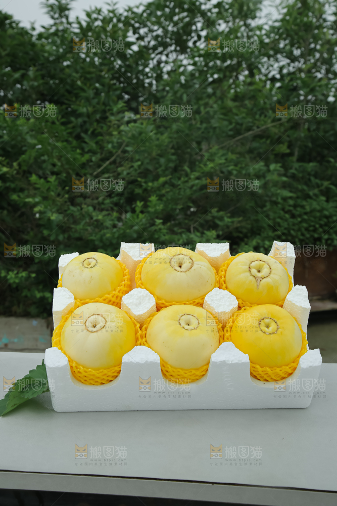 小蜜蜂甜瓜