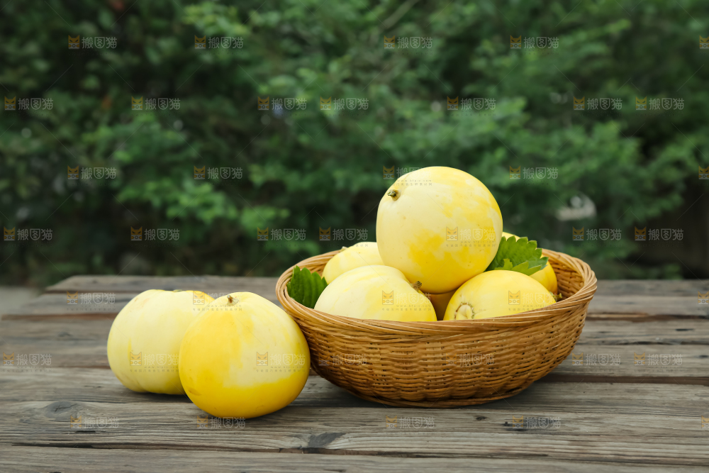 小蜜蜂甜瓜