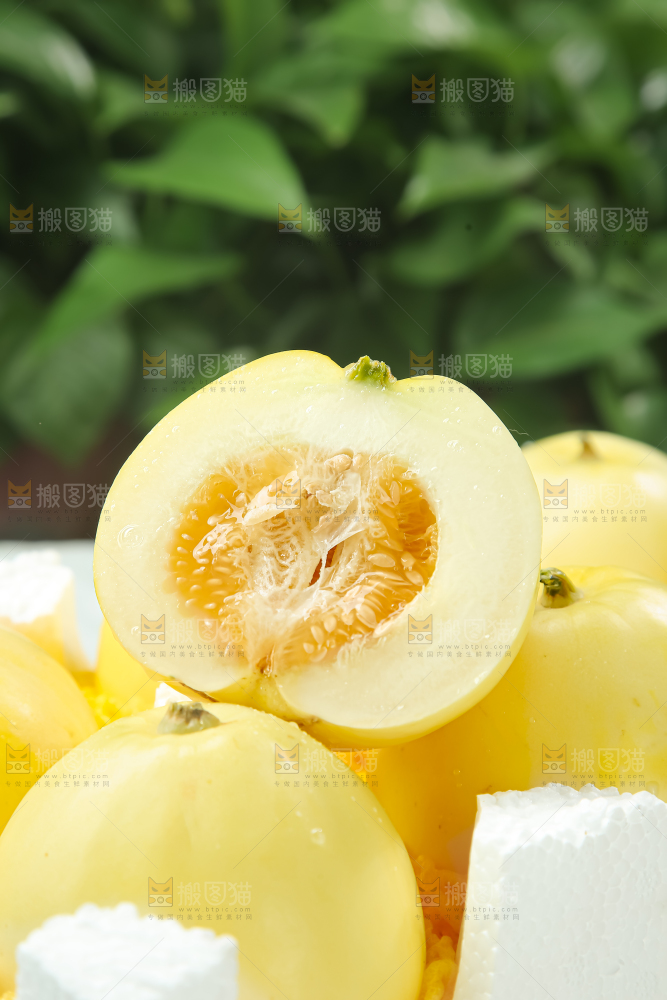 小蜜蜂甜瓜