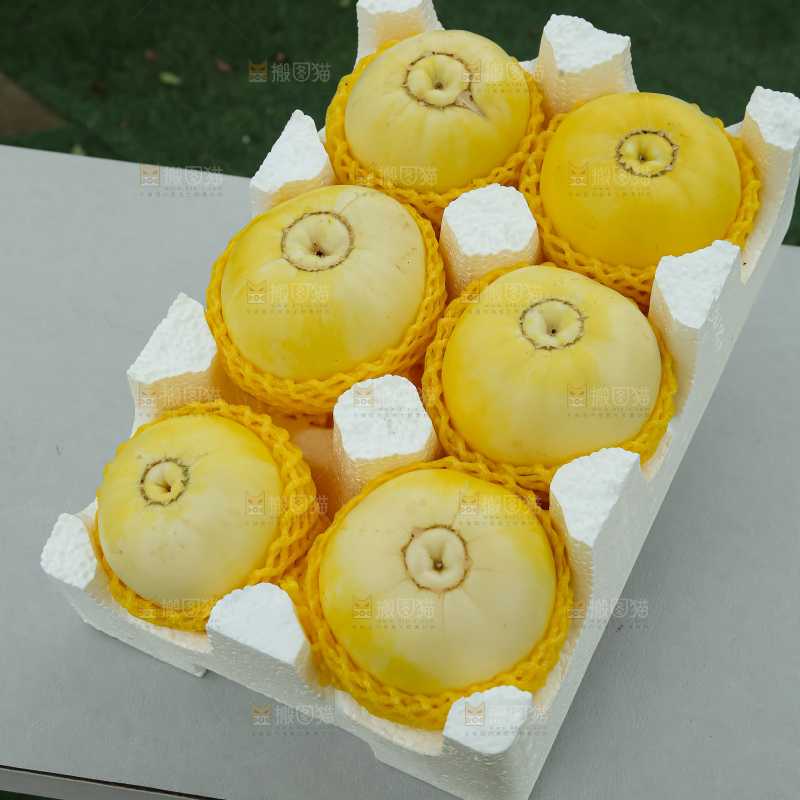小蜜蜂甜瓜