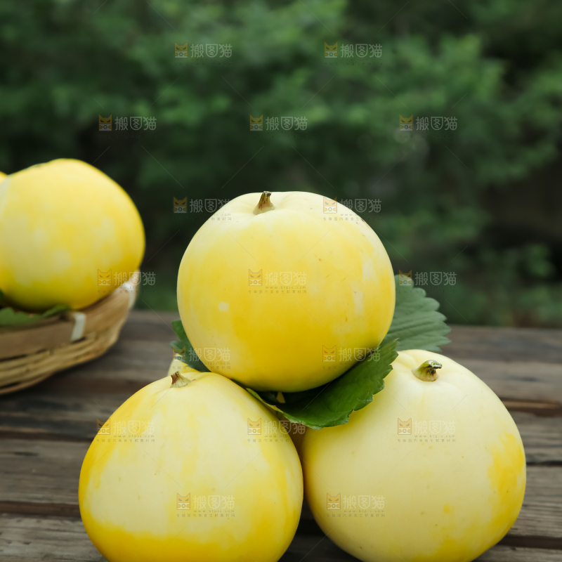 小蜜蜂甜瓜