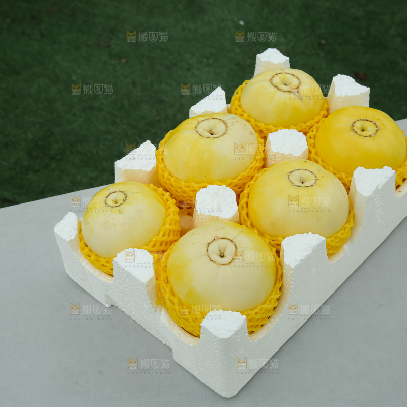 小蜜蜂甜瓜